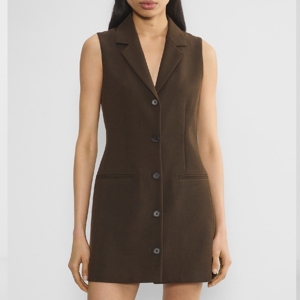 Babaton Brown Sleeveless Dress